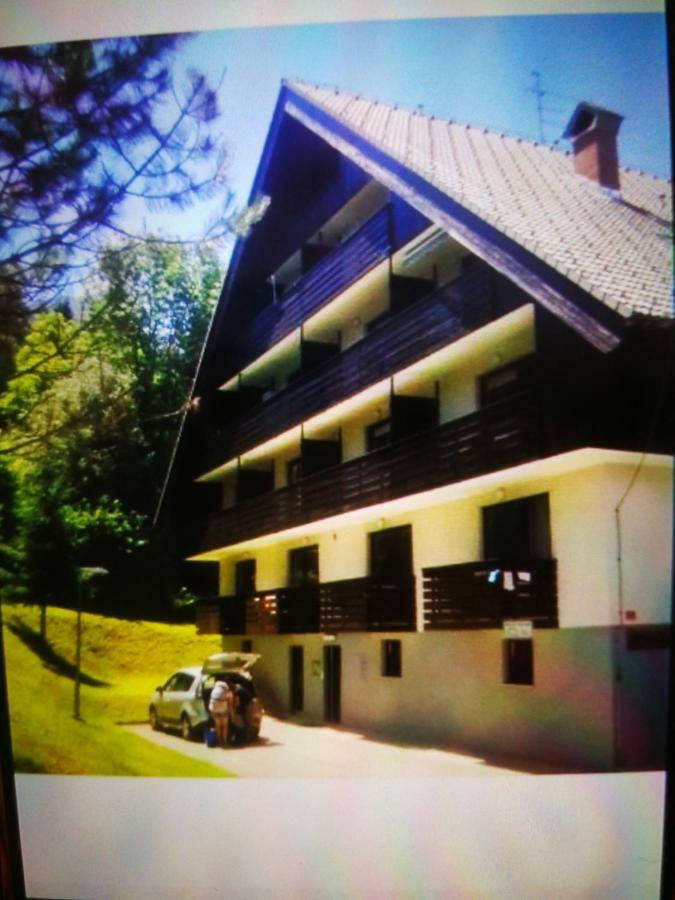 Planika B&M Lägenhet Bohinj Exteriör bild