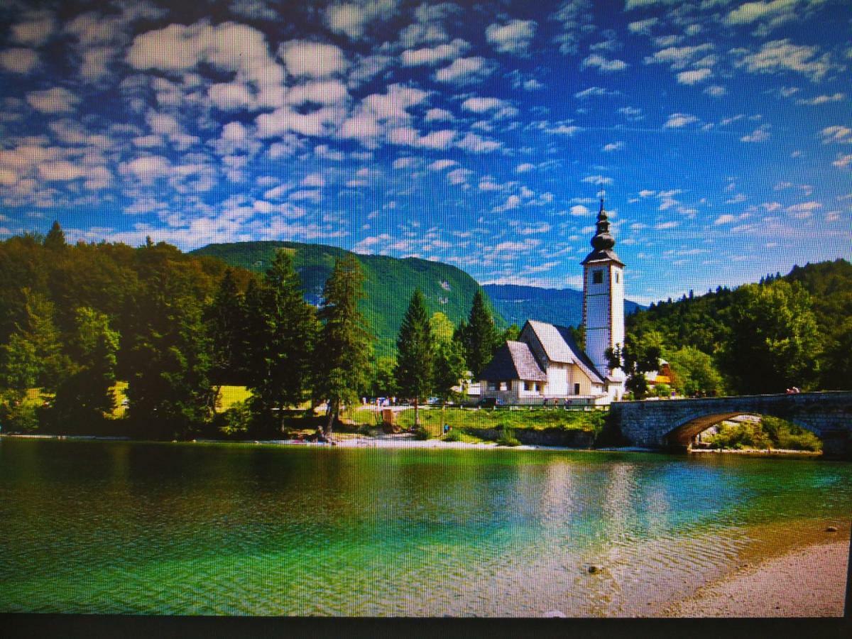 Planika B&M Lägenhet Bohinj Exteriör bild