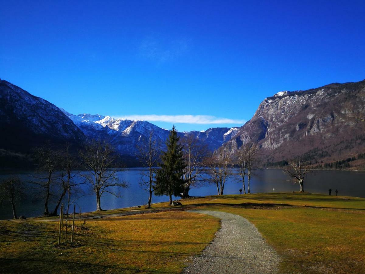 Planika B&M Lägenhet Bohinj Exteriör bild