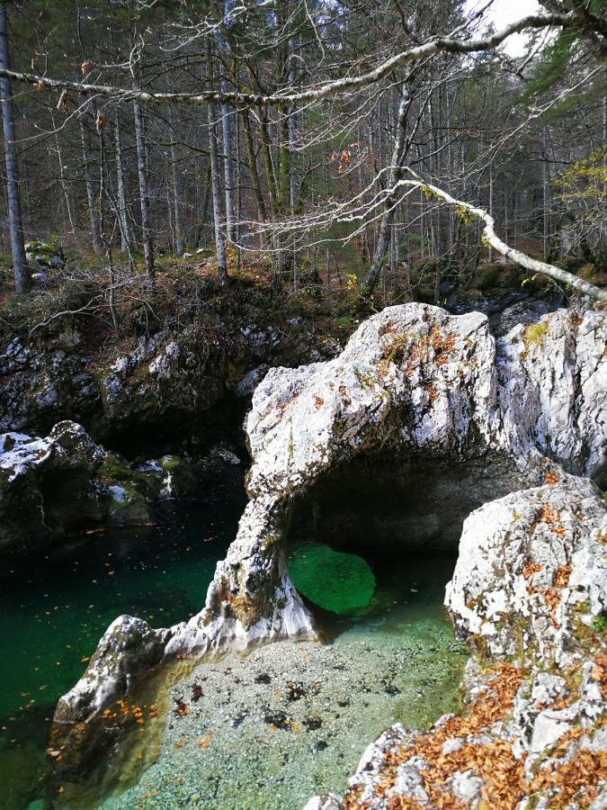 Planika B&M Lägenhet Bohinj Exteriör bild