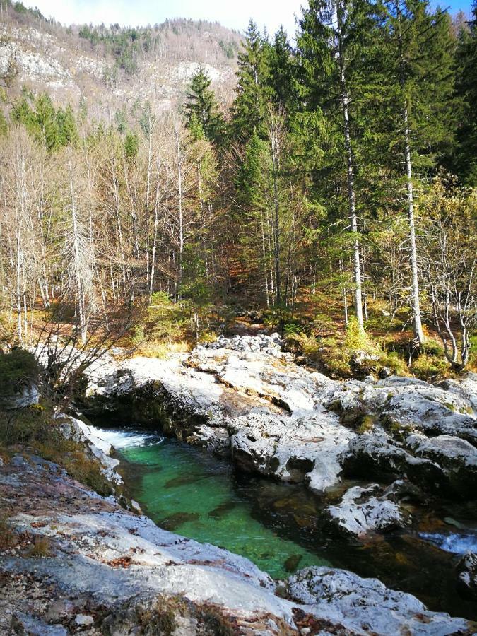 Planika B&M Lägenhet Bohinj Exteriör bild