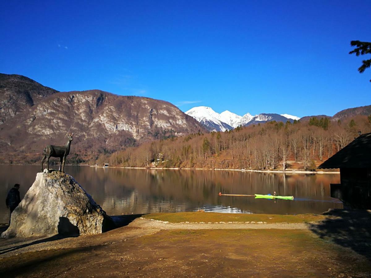 Planika B&M Lägenhet Bohinj Exteriör bild